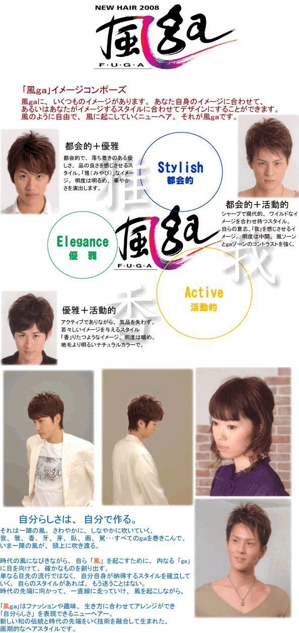 2008�N�j���[�w�A�[