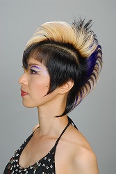 ��60�� �S�����e���Z���2��