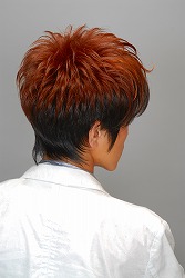 ��60�� �S�����e���Z���3��