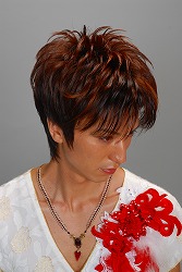 ��60�� �S�����e���Z���3��