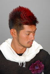 ��60�� �S�����e���Z���4��