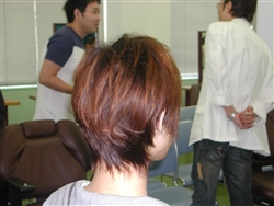 2010 ニューヘアー講師研修会