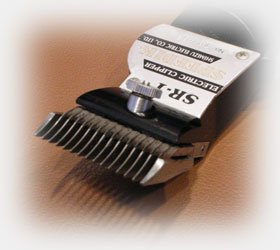 ���ƕ���