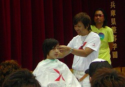 3A-tion���C��